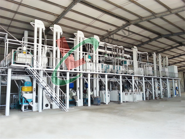 广西用户60吨玉米深小蝌蚪网站在线观看客户安装现场