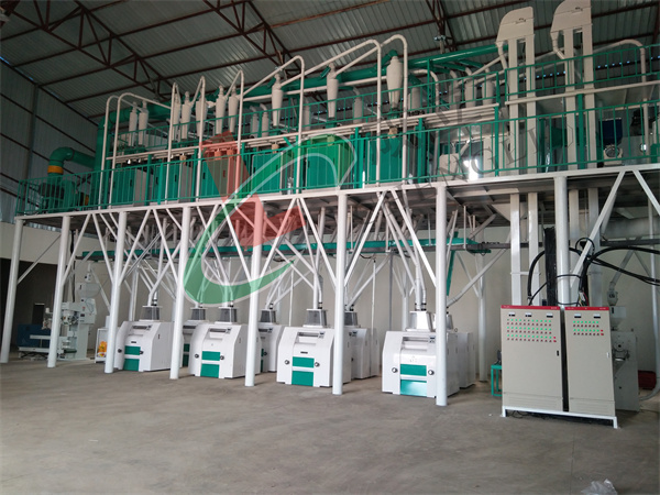 山东青岛客户80吨玉米小蝌蚪网站在线观看安装现场