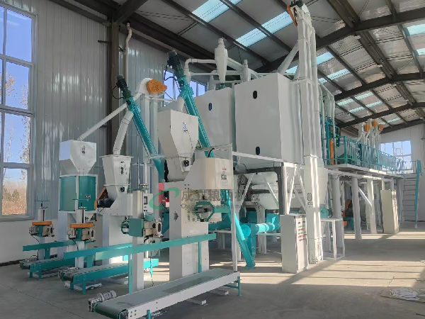 南阳日产30吨玉米综合小蝌蚪网站在线观看，安装调试成功