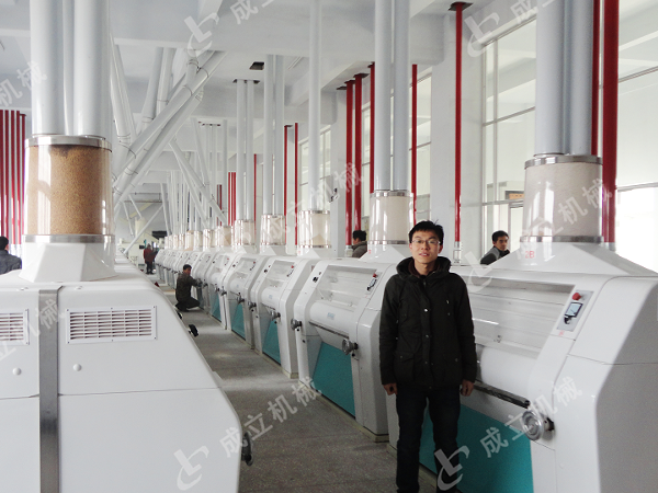 大型日产200吨面粉加工厂设备，自动化生产线