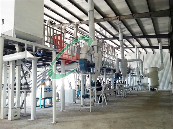 玉米糁小蝌蚪网站在线观看