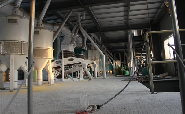 玉米小蝌蚪网站在线观看多少钱?不同厂家对比时又该注意些什么?