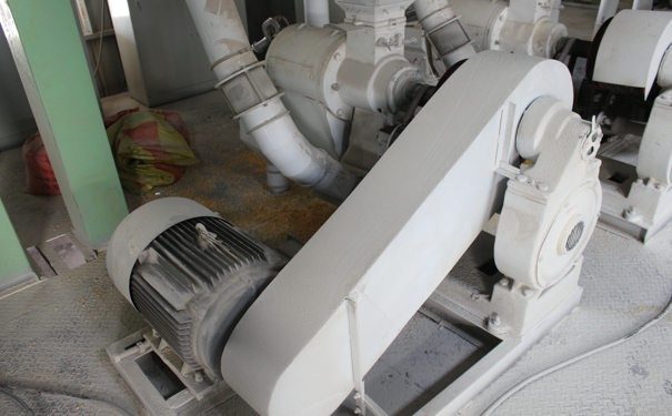 玉米小蝌蚪网站在线观看