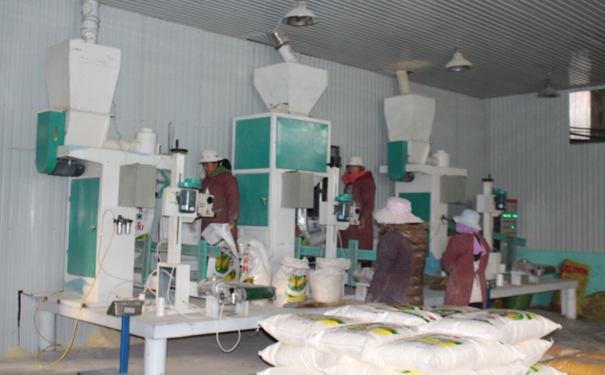 日产30吨玉米小蝌蚪网站在线观看多少钱?点击在线咨询，即刻获取优惠报价