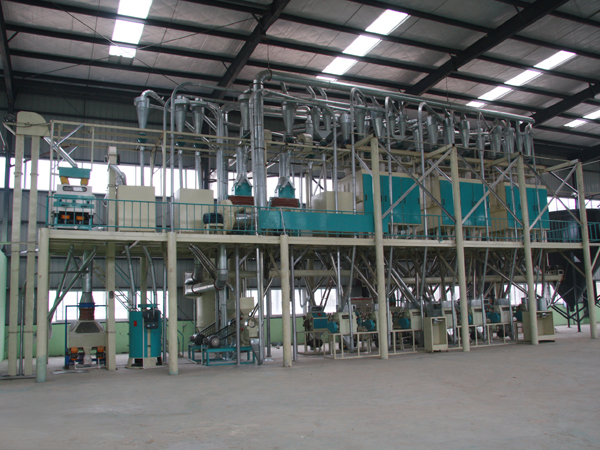 100吨级玉米加工成套设备