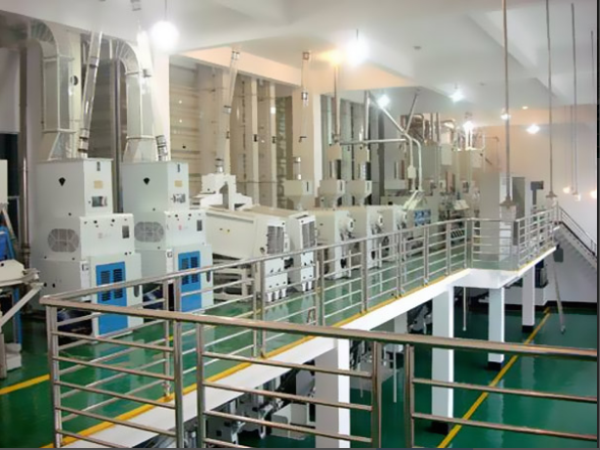 200吨大米小蝌蚪网站在线观看